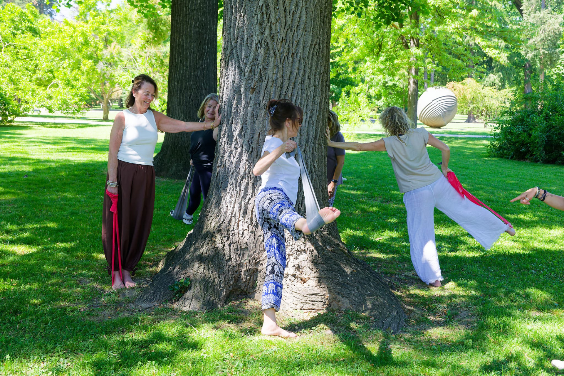 Practising with straps around a park tree in Maribor